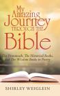 My Amazing Journey Through The Bible - Preview