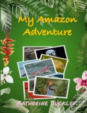 Capa do artigo My Amazon Adventure