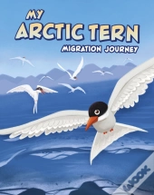 My Arctic Tern Migration Journey