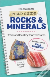 Capa do artigo My Awesome Field Guide To Rocks & Minerals