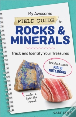 Capa do artigo My Awesome Field Guide To Rocks & Minerals