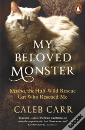 Capa do artigo My Beloved Monster