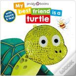 My Best Friend Is A Turtle