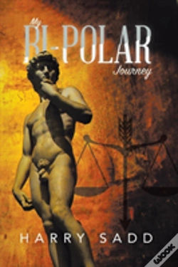 Capa do artigo My Bipolar Journey