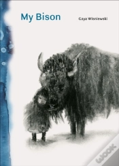 Capa do artigo My Bison