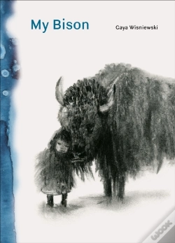 Capa do artigo My Bison