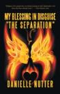 My Blessing In Disguise "The Separation" - Preview