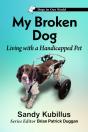 My Broken Dog - Preview
