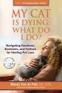 My Cat Is Dying - Preview