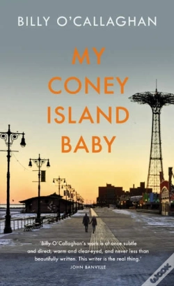 Capa do artigo My Coney Island Baby