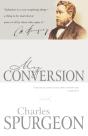 My Conversion - Preview