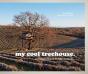 My Cool Treehouse - Preview