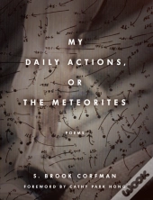 My Daily Actions, Or The Meteorites