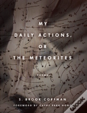 Capa do artigo My Daily Actions, Or The Meteorites