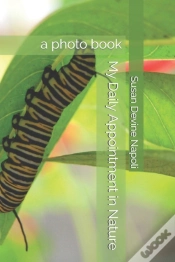 Capa do artigo My Daily Appointment In Nature