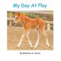 My Day At Play - Preview