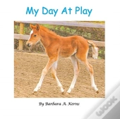 My Day At Play