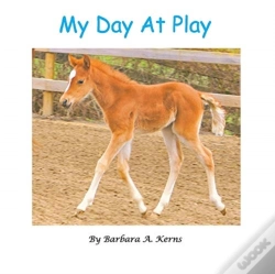 Capa do artigo My Day At Play