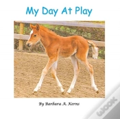 Capa do artigo My Day At Play