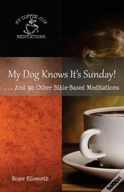 Capa do artigo My Dog Knows It'S Sunday