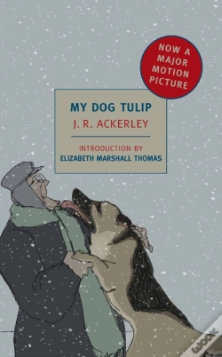 Capa do artigo My Dog Tulip