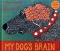 My Dog'S Brain - Preview