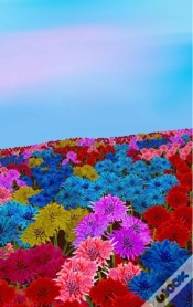 Capa do artigo My Dotted Journal - Oh My Bottle Flower Field