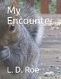 My Encounter - Preview