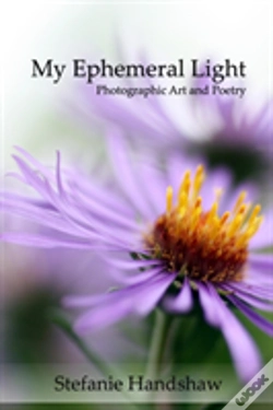 Capa do artigo My Ephemeral Light