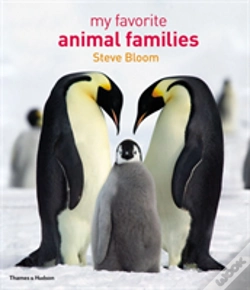 Capa do artigo My Favourite Animal Families