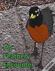 My Feathery Encounter