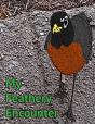 My Feathery Encounter - Preview