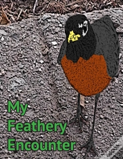 Capa do artigo My Feathery Encounter