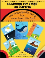 Capa do artigo My First Antonyms