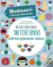 My First Book About The Five Senses