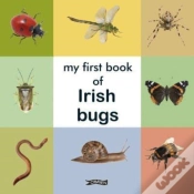 Capa do artigo My First Book Of Irish Bugs