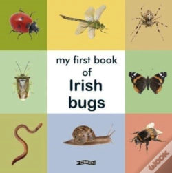 Capa do artigo My First Book Of Irish Bugs