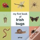 My First Book Of Irish Bugs