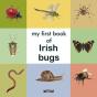 My First Book Of Irish Bugs - Preview