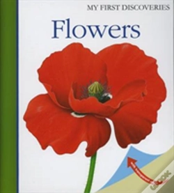 Capa do artigo My First Discoveries