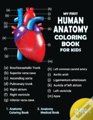 My First Human Coloring Book For Kids