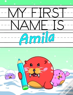 Capa do artigo My First Name Is Amila: Personalized Pri