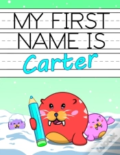 Capa do artigo My First Name Is Carter