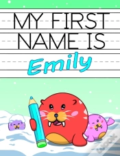 Capa do artigo My First Name Is Emily