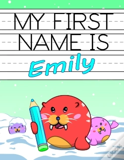 Capa do artigo My First Name Is Emily