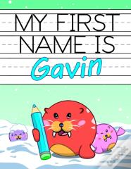 My First Name Is Gavin