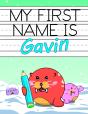 My First Name Is Gavin - Preview