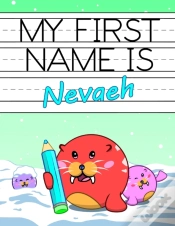 Capa do artigo My First Name Is Nevaeh: Personalized Pr