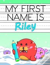 Capa do artigo My First Name Is Riley: Personalized Pri