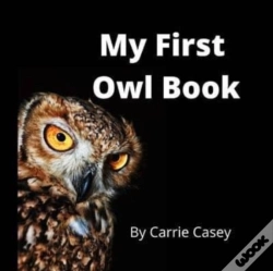 Capa do artigo My First Owl Book